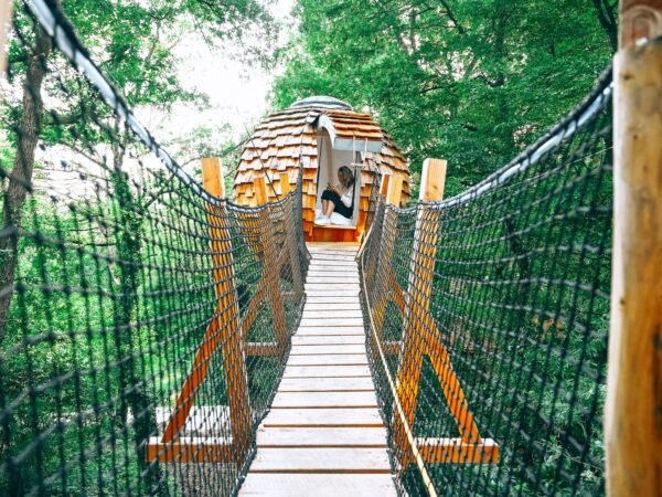 Vu de la passerelle jusqu'à la ruche.