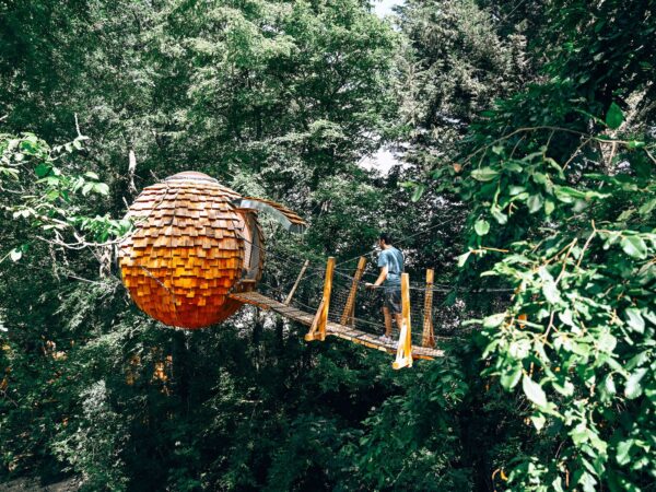 Vu extérieure à la passerelle et la ruche dans les arbres.